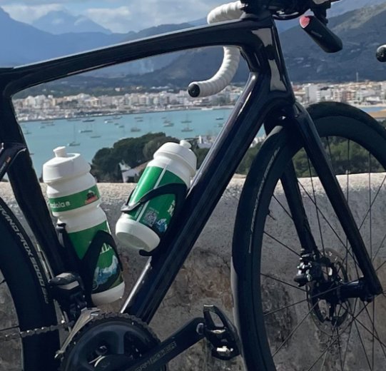 A Specialized Tarmac SL 7 stands leaning against a wall on a coastal road in Mallorca.