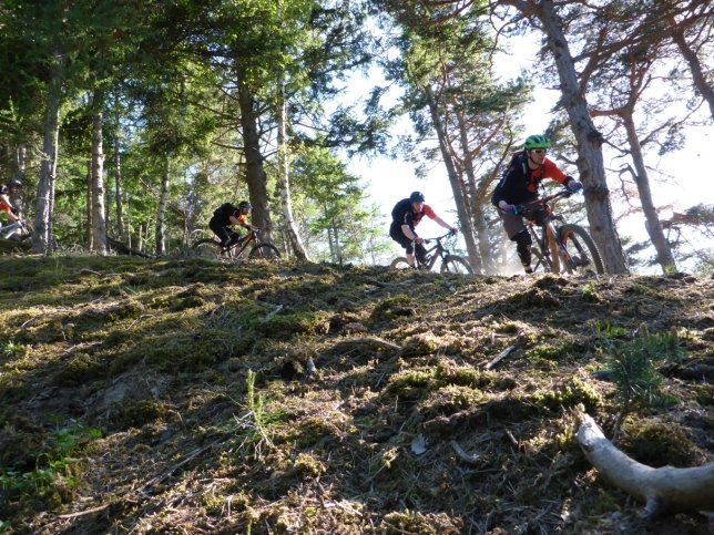 TrailTrophy Latsch 2015, bike-components, Enduro