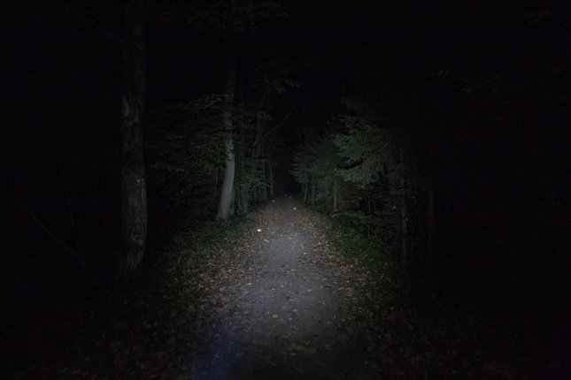 Lupine Blika Lightbeam
