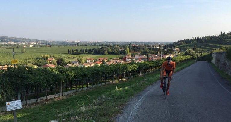 Sanfte Anstiege inmitten der Weinberge. 