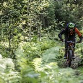 Trailtrophy_tag2_34_ss.jpeg
