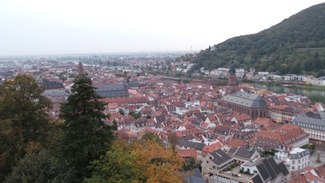 Die Aussicht vom Heidelberger Schloss.