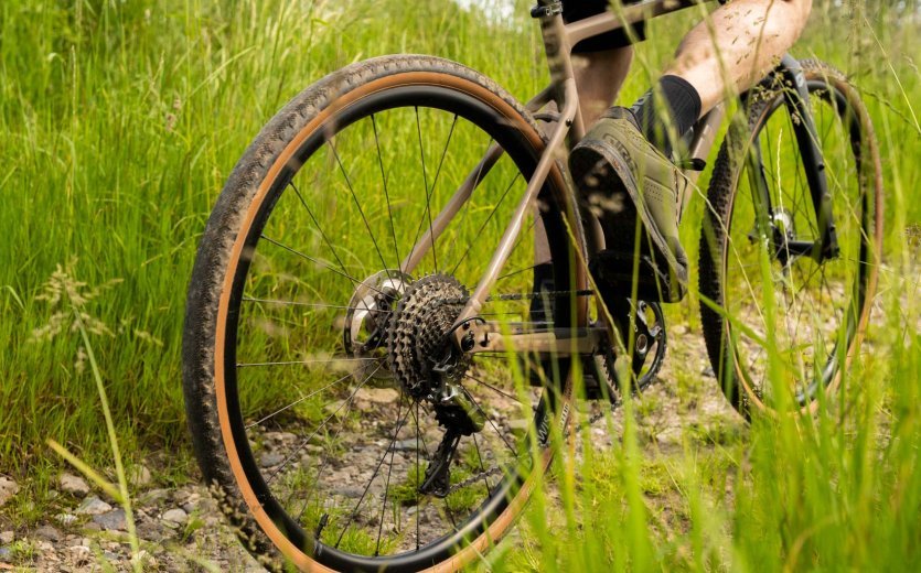 Maxxis Receptor für hinten