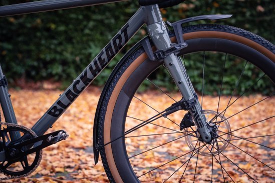 An asphalt-grey gravel bike with a black front mudguard, side view from the right. Autumn leaves and green bushes in the background.