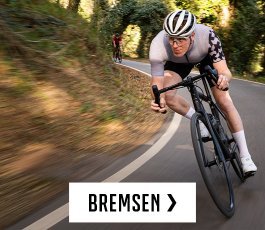 ttir > bremsen | 2026