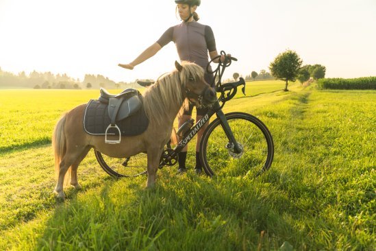 Anke präsentiert Pony