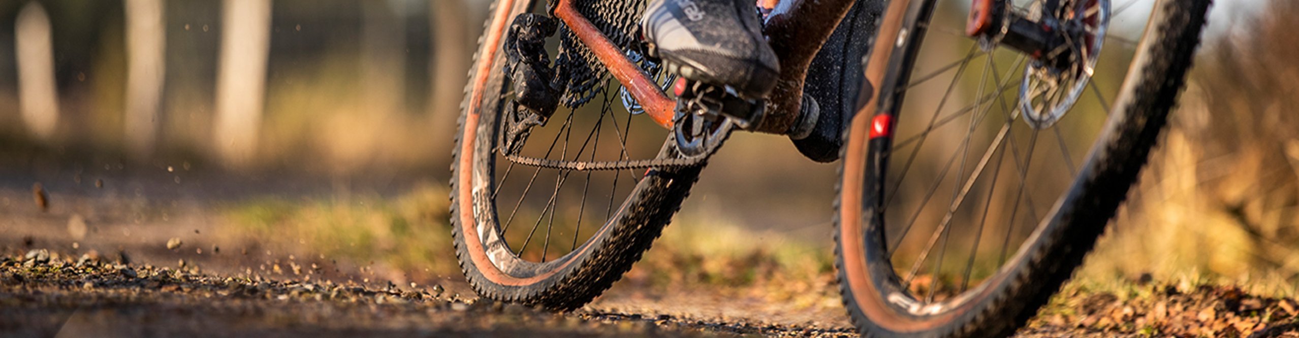 Gravelbiker fährt auf Forstweg in Schräglage durch eine Kurve.