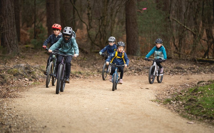 Fünf Kids unterwegs auf Mountainbikes. Sie fahren durch einen Wald über einen Schotterweg.