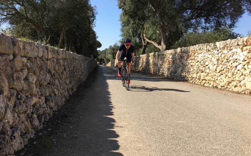 Mallorca Rennrad Allee Training Saisonstart