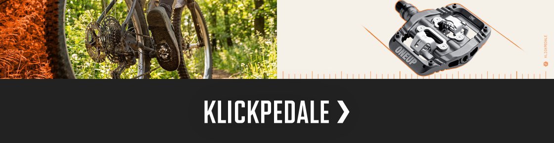 ttir > pedale | 2026