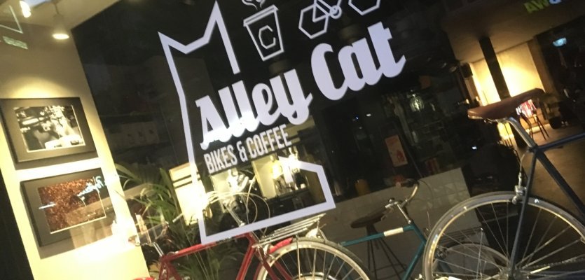 Alley Cat 2.jpeg