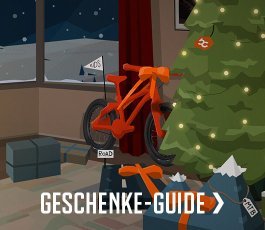 einzelkampagne > geschenke guide | 2023 | de
