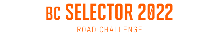 Selector Challenge Headline	