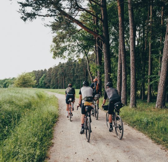 Cuatro ciclistas en bicis Gravel en un camino de gravilla al borde de un bosque. 