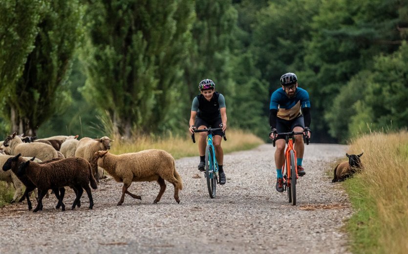 Individuelle Laufräder: Bau Dir Dein Laufrad für Dein Gravelbike