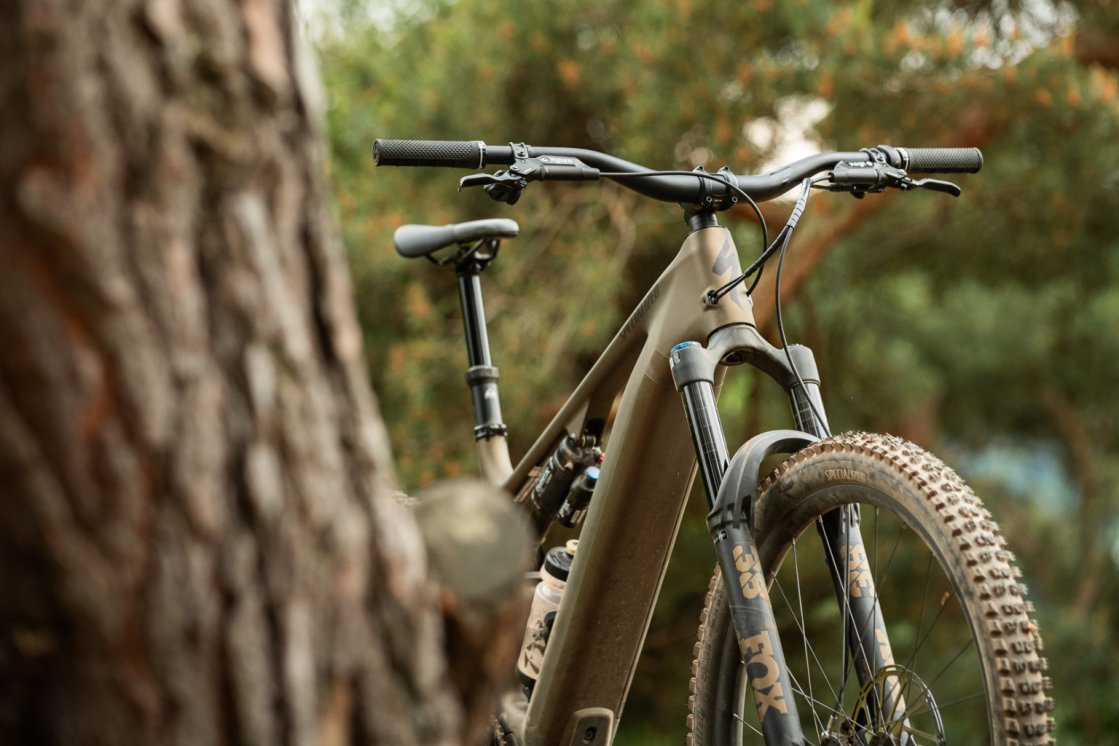 Die Front eines Turbo Levo 4 im Wald. Das Bike wird halb durch einen Baumstamm im Bildvordergrund verdeckt.