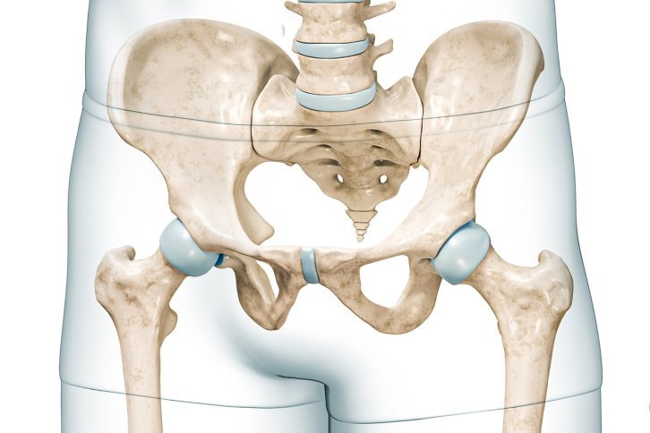 Anatomical view: A view of a human skeleton, specifically the pelvic area with the ischial tuberosities, from the front.
