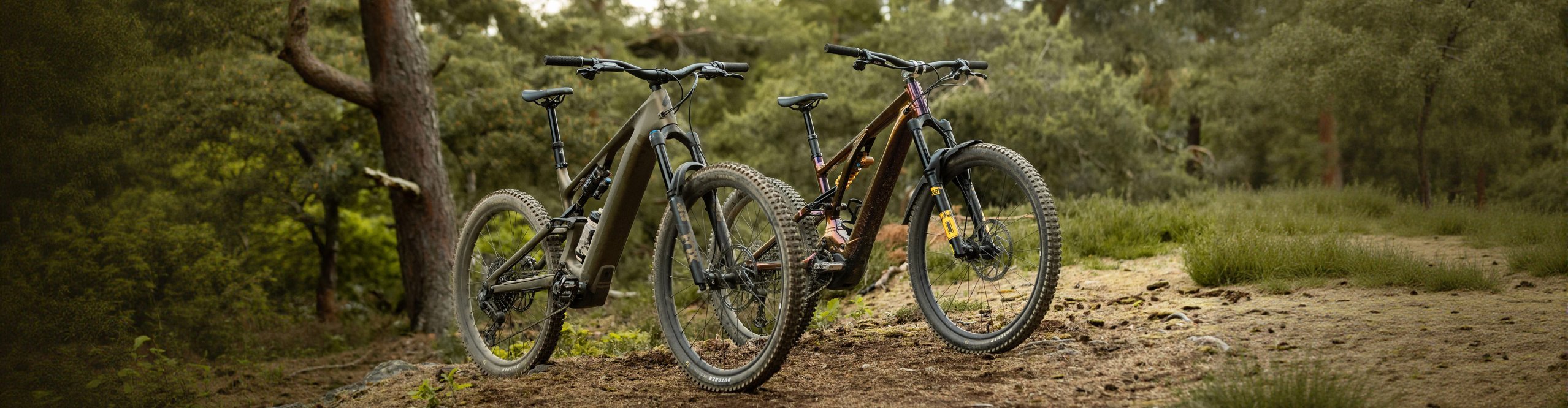 Zwei Specialized Turbo Levo E-Mountainbikes in Burnt Gold und irisiertem Finish nebeneinander im Wald – leistungsstarke Trailbikes mit edlem Look und Top-Ausstattung