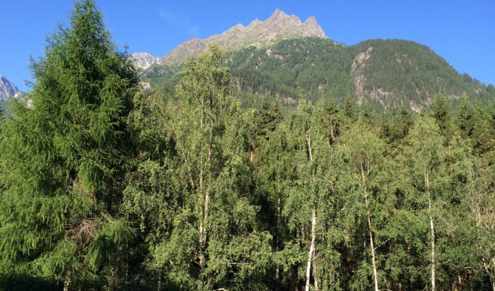 Bike & Yoga Camp im Ötztal