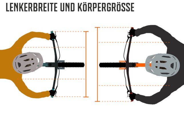 Ergonomie_MTB-Lenker_Infografik_02_Lenkerbreite.jpg