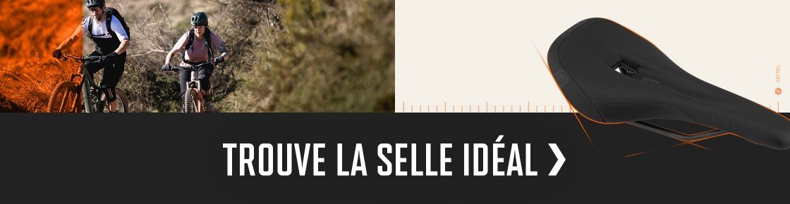 ttir > sattel | 2026