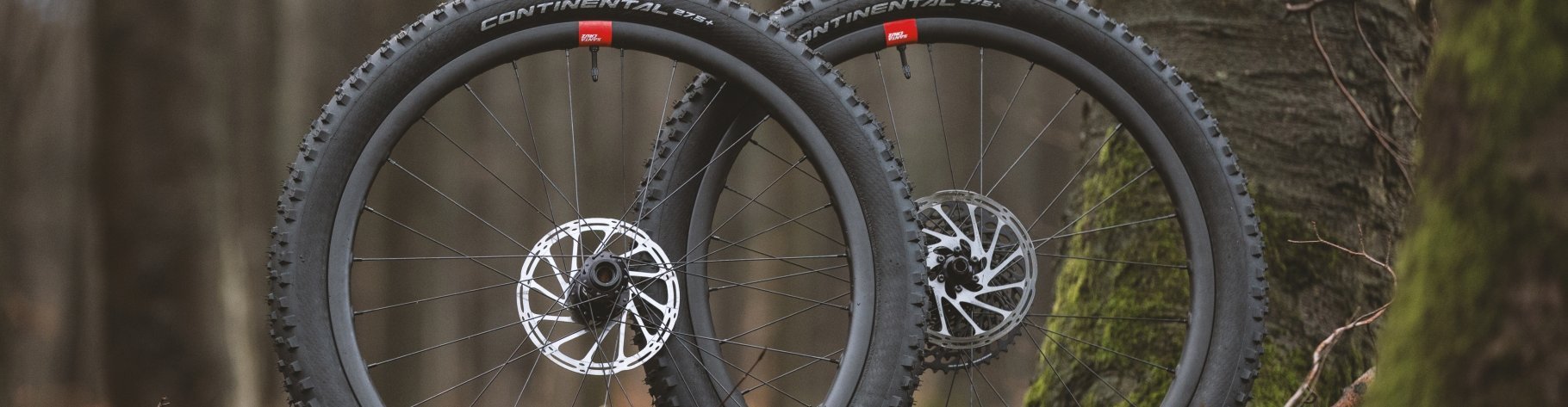 The Santa Cruz Reserve 30 wheelset for Enduro mountain biking.