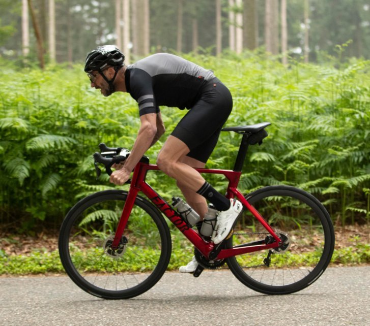 A cyclist on a red road bike rides on a paved road through a forest with green ferns in the background.