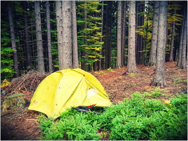 The typical look of a campsite hidden in the woods