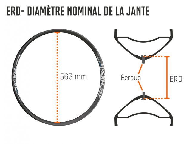 Infografik_ERD_FR.jpg