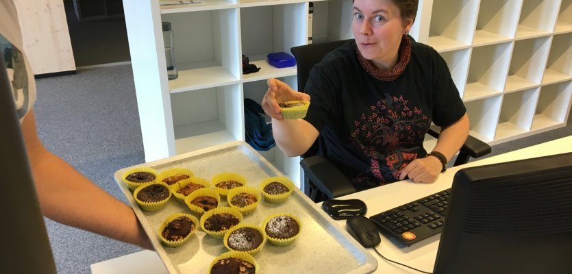 PowerBar Muffin Backmischung
