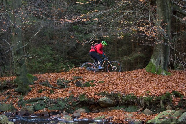 Herbstwetter: Matschiges und nasses Laub bietet Rutschpotential