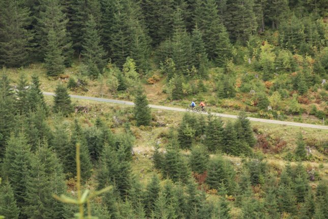 Liteville 101 Trailbike auf den Allgäuer Trails