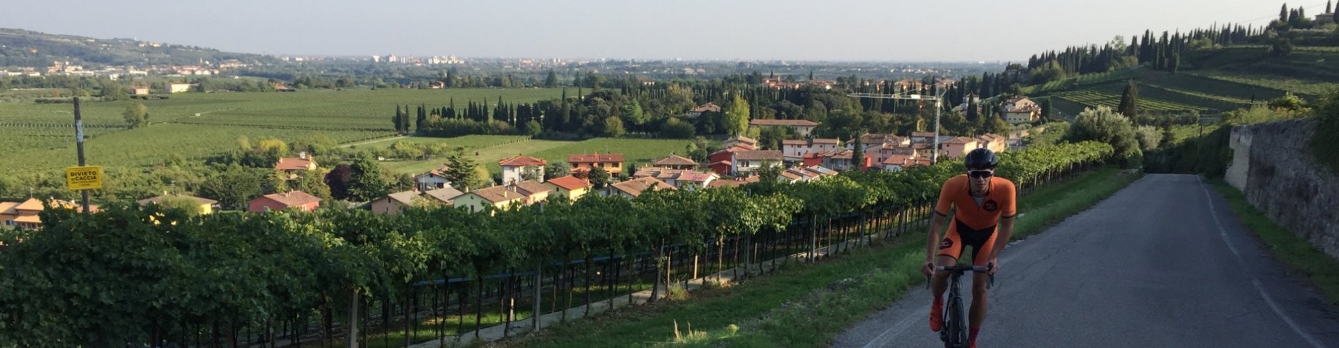 Sanfte Anstiege inmitten der Weinberge. 