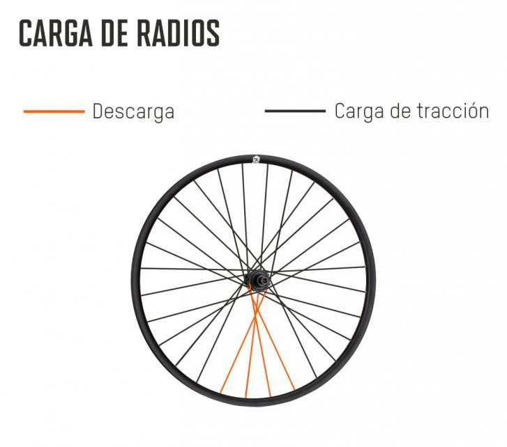 Laufradbau_Theorie_HowTo_Grafik_Speichenbelastung_mobil_es.jpg