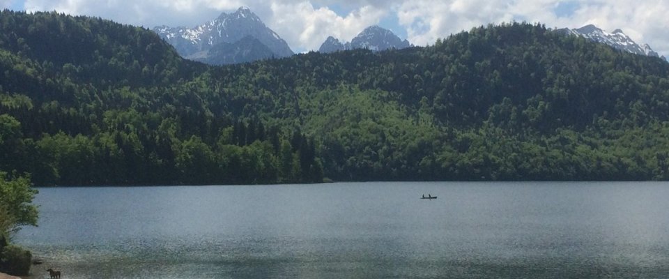 Right next to the hotel is Lake Forggensee.