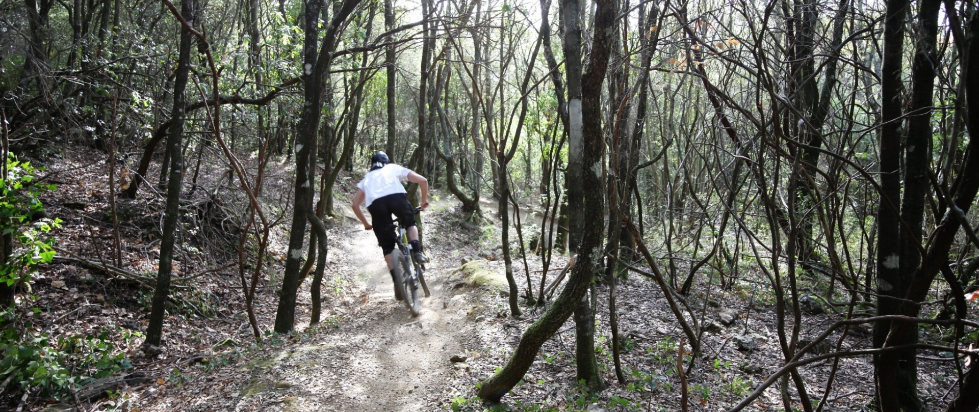 The EDC Tool never slipped or made noises while riding.