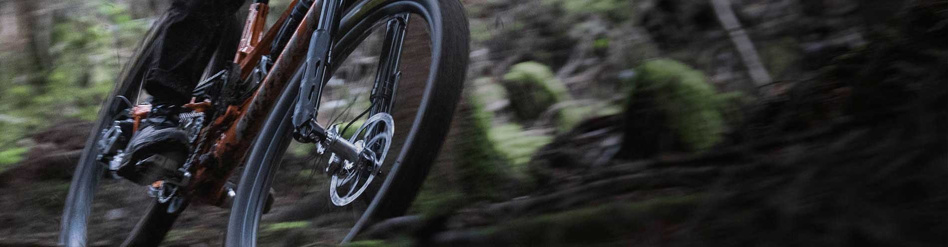 INTEND Bremsscheibe am Mountainbike im Wald