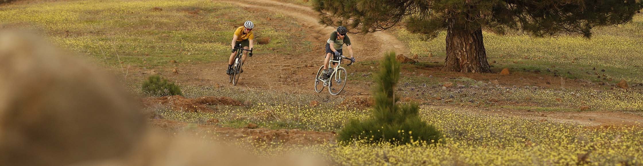 Maloja Fahrrad Bekleidung in herbstlichen Farben und herbstlicher Landschaft