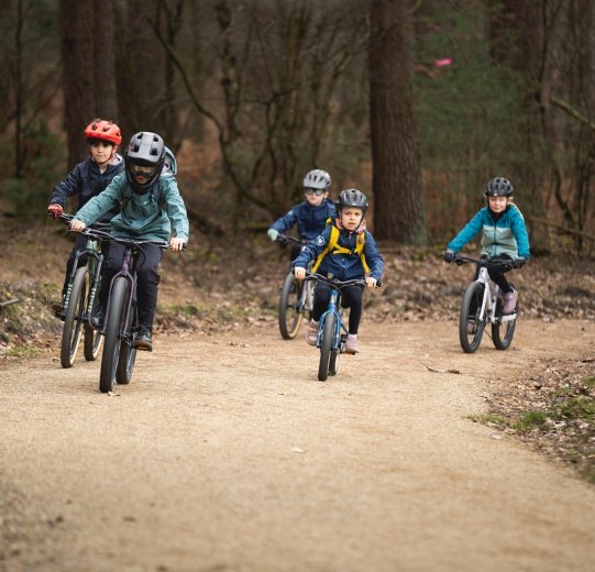 Cinq enfants en route sur des VTTs. Ils traversent la forêt sur un chemin de gravier.