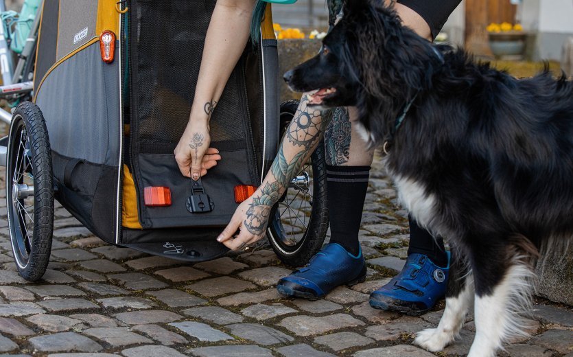 Entrée basse, solides fermetures éclair, levier à dégagement rapide pour la "porte arrière" : Le Croozer Dog Peppa résiste bien à une utilisation fréquente.