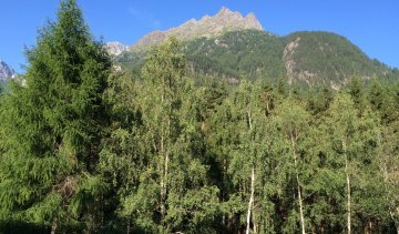 Bike & Yoga Camp im Ötztal