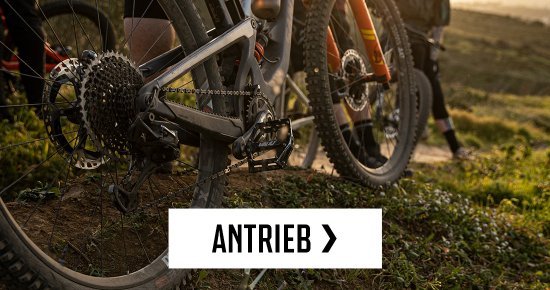 botb > antrieb | 2026