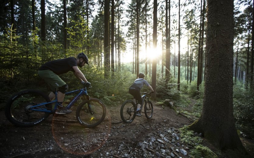 Trail Sonnenuntergang E-MTB Downhill