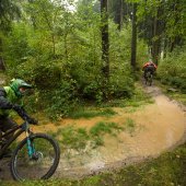 Biker auf der Suche nach marinen Lebensformen.