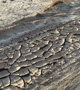 Detailfoto eines trockenen Wüstenbodens: Eingetrockneter, rissiger Schlamm mit Spuren von Gravel-Reifen.