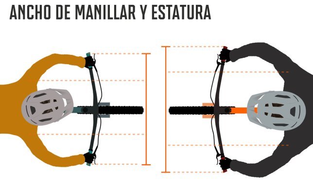 Ancho de manillar y estatura