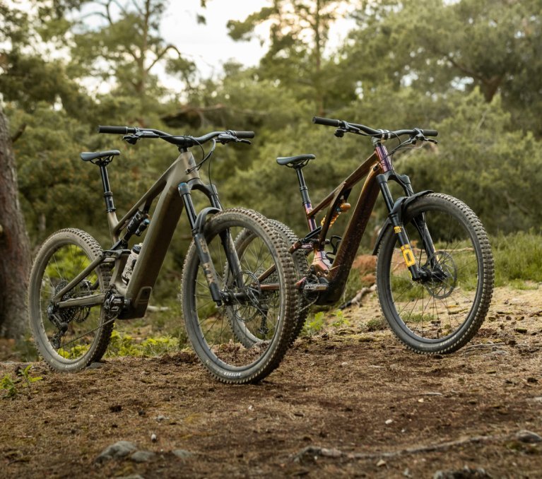 Ein Specialized Turbo Levo 4 E-MTB steht neben seinem Vorgängermodell, dem Turbo Levo 3 auf einer Lichtung in einem europäischen Mischwald. Die Perspektive der Räder ist von seitlich vorn rechts.
