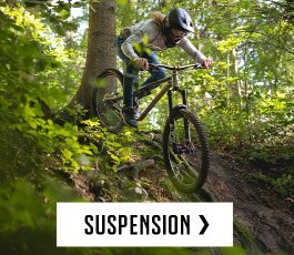 botb > suspension | 2026 | de