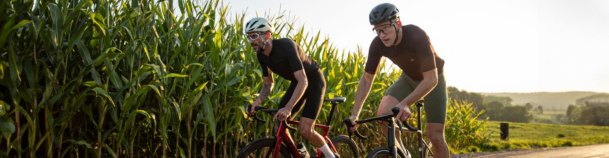 Zwei Rennradfahrer fahren im Wiegetritt in der Abendsonne