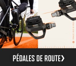 ttir > touchpoints pedale | 2025